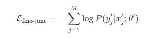 fine-tune Loss